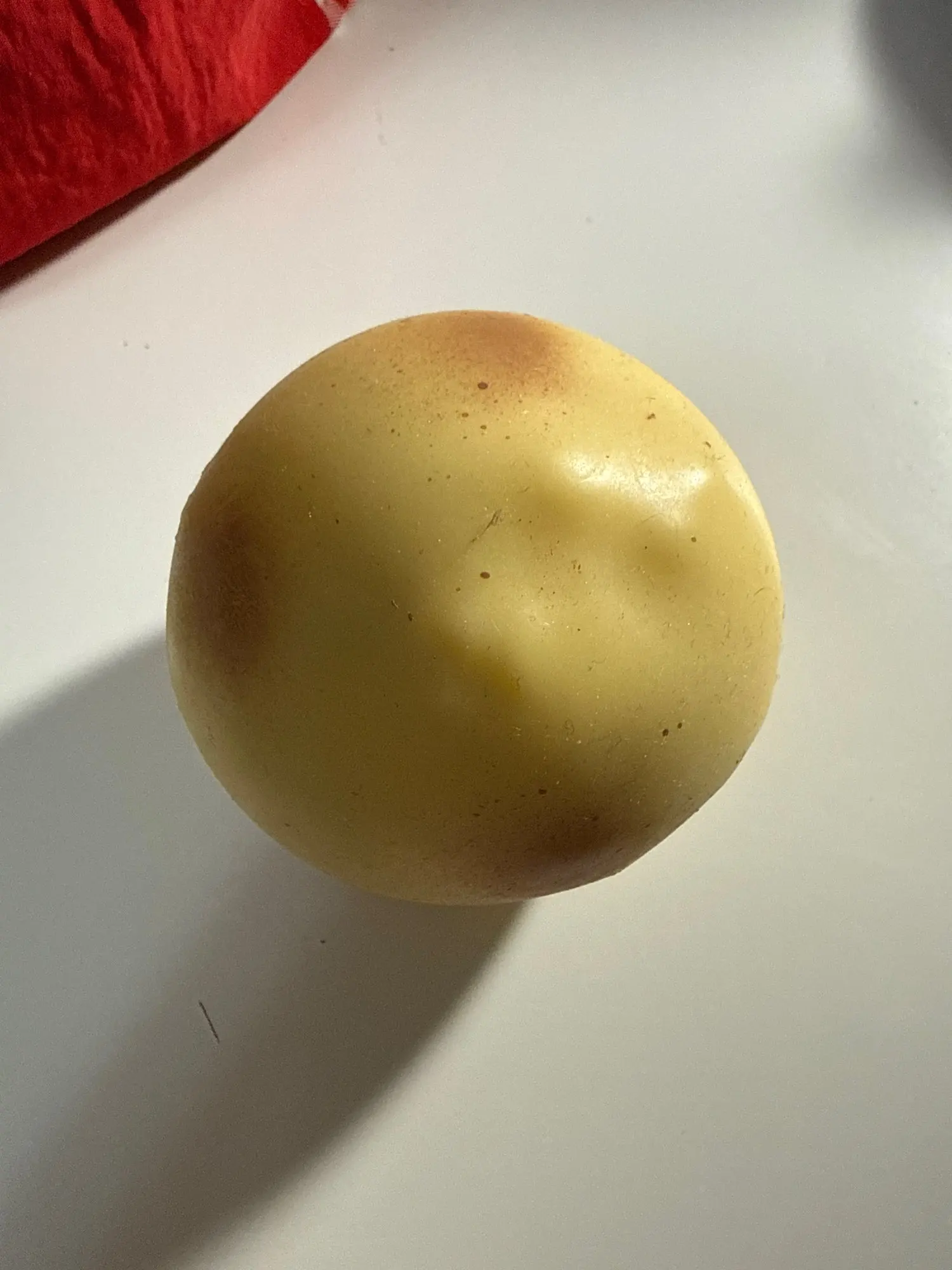 실물 포토 리뷰