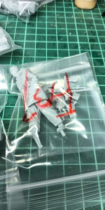 Buyer photo of this resin kit