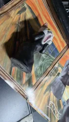 Imagen de reseña 2