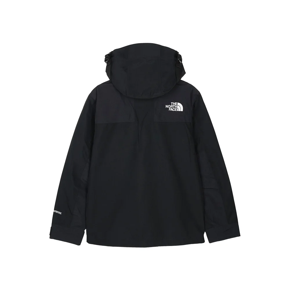 THE NORTH FACE Men'S ECO GORE TEX MOUNTAIN JACKET/ NJ2GQ50