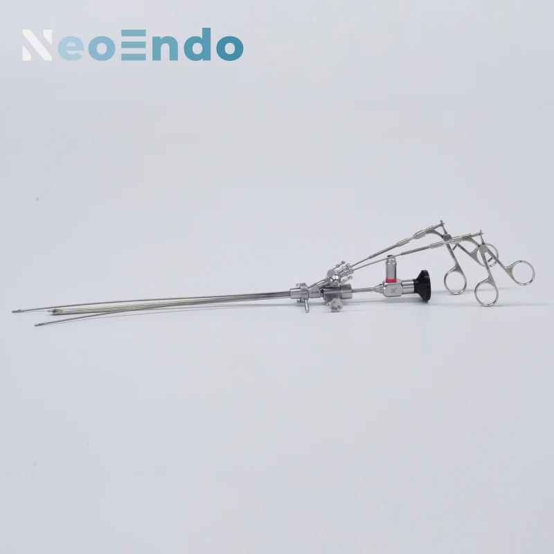 

Rigid Urology Cystoscope Set 30 Degree 4x302mm With Working Channel And Operating Instruments