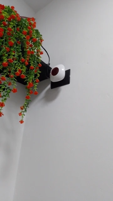 실물 포토 리뷰