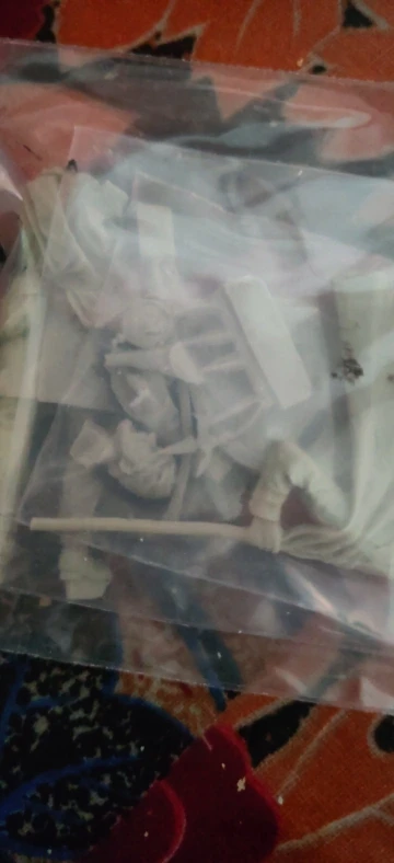 Buyer photo of this resin kit