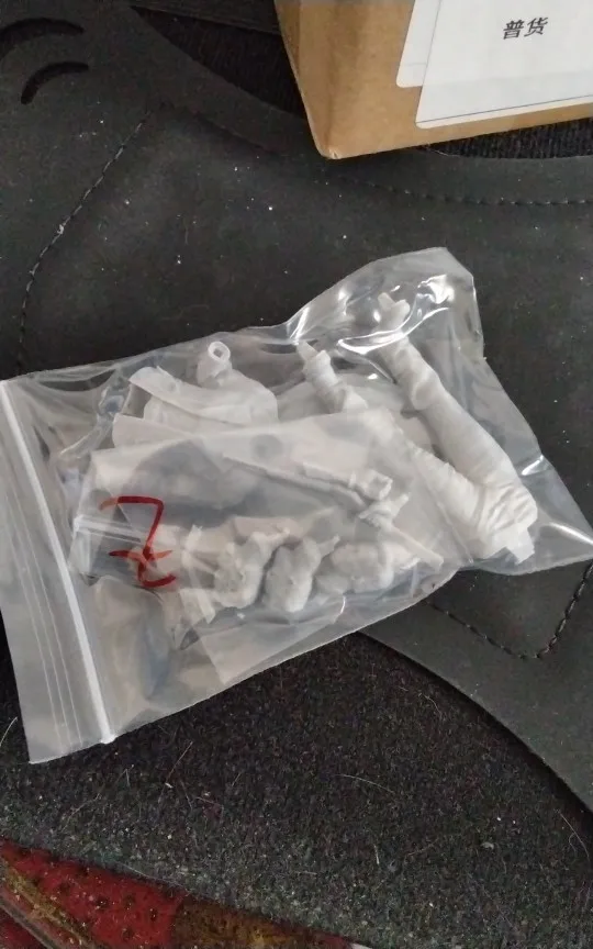 Buyer photo of this resin kit