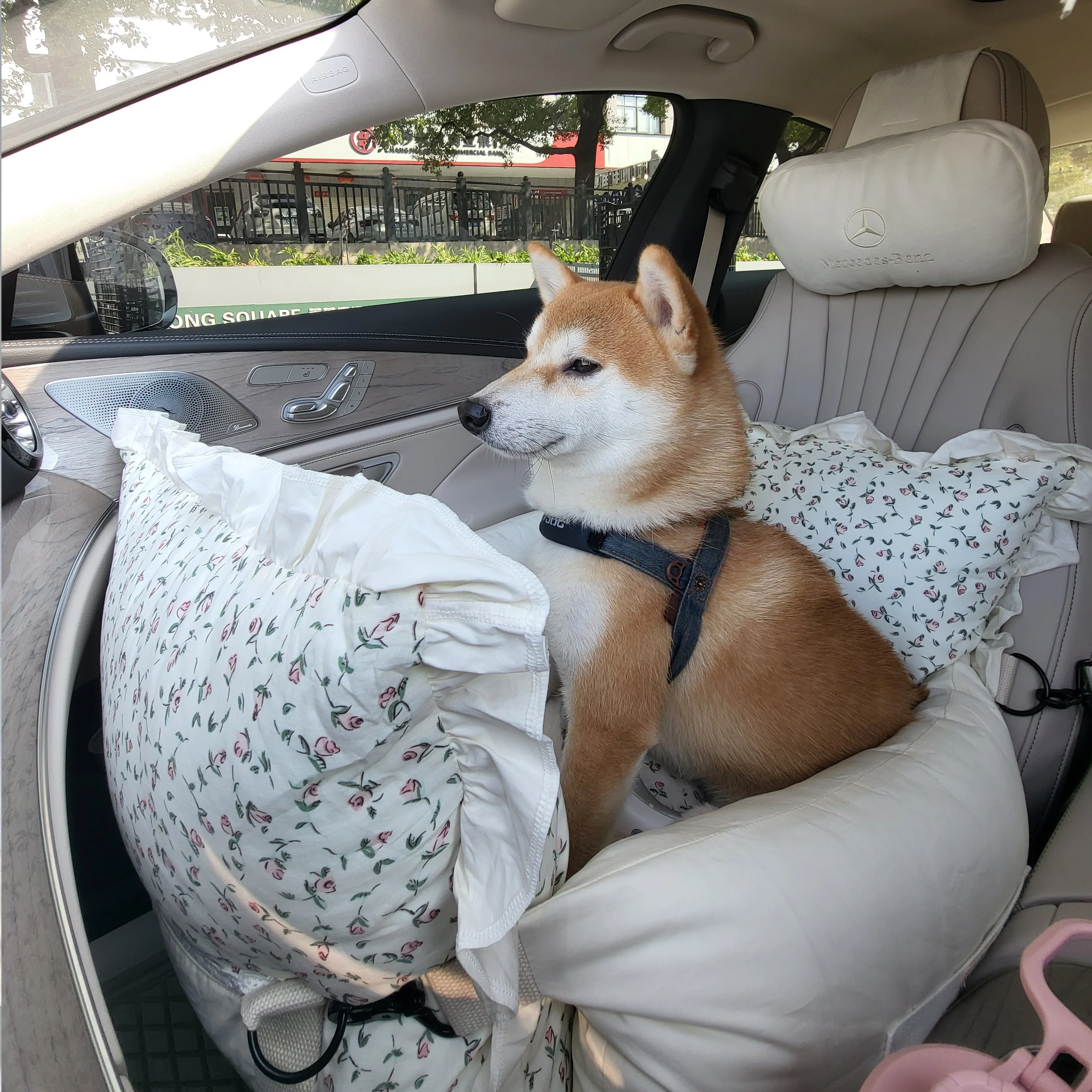 Dog Luxury Deluxe Car Automotive Bench Travel Seat Nest Sofa with Strap Safety Pet Travel Nest Bed, Puppy Kitten Floral