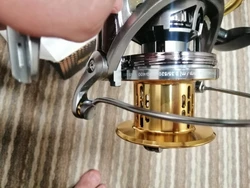 Imagen de reseña 4
