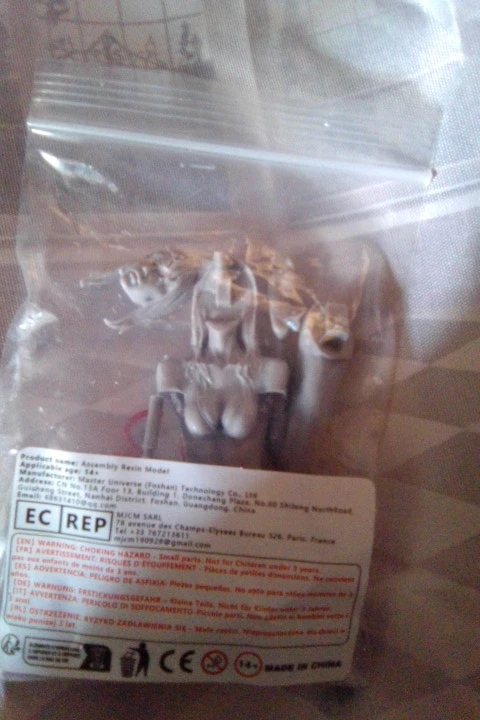 Buyer photo of this resin kit