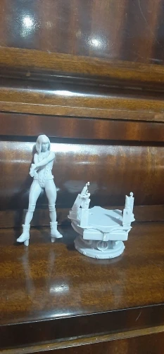 Buyer photo of this resin kit