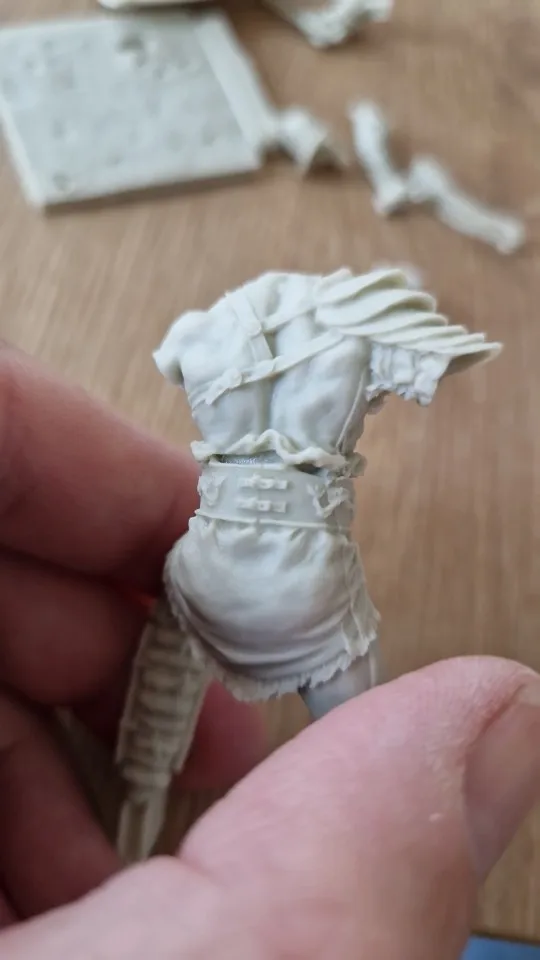 Buyer photo of this resin kit