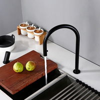 Swivel Kitchen Faucet Brass Material Kitchen Alba Matt Black Pull Down Head Sink Faucet Pull Out Black Spray Kitchen Sink Tap