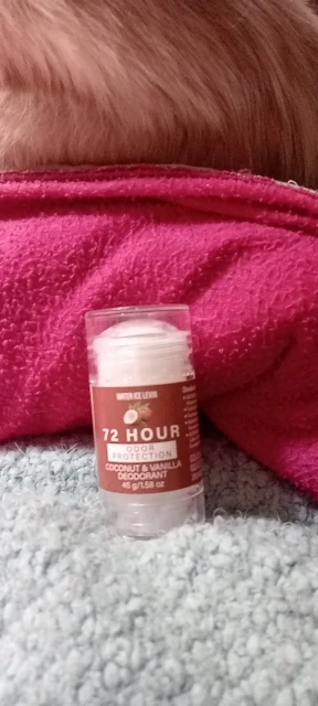 Water Ice Levin Compact Travel Friendly Deodorant Stick 72H Sweat Odor Defense Gentle Underarm Skin Smooth Non Greasy Texture45g photo review