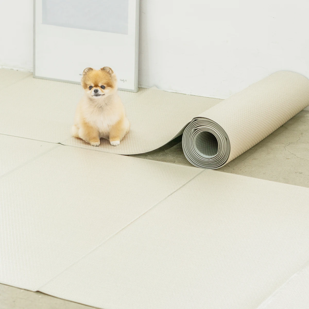 [폴딩 140x60cm] 디팡 미끄럼방지 강아지 고양이매트 애견매트 펫매트 슬개골탈구예방 4mm