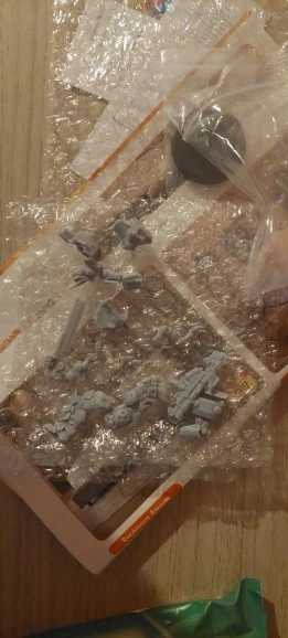 Buyer photo of this resin kit