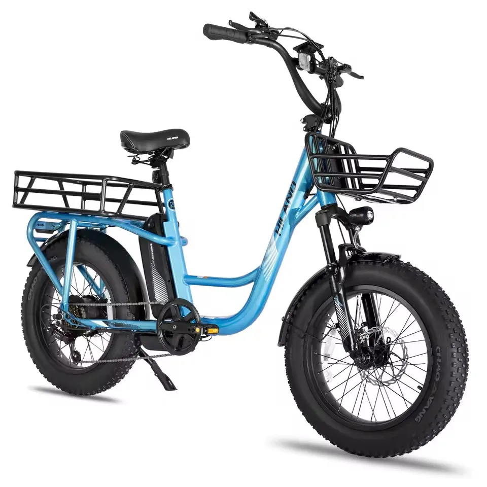 

Electric Bicycle 250W Powerful Motor 48V15AH Lithium Battery E-bike 20*4.0 Inch Fat Tire Mountain Electric Bike