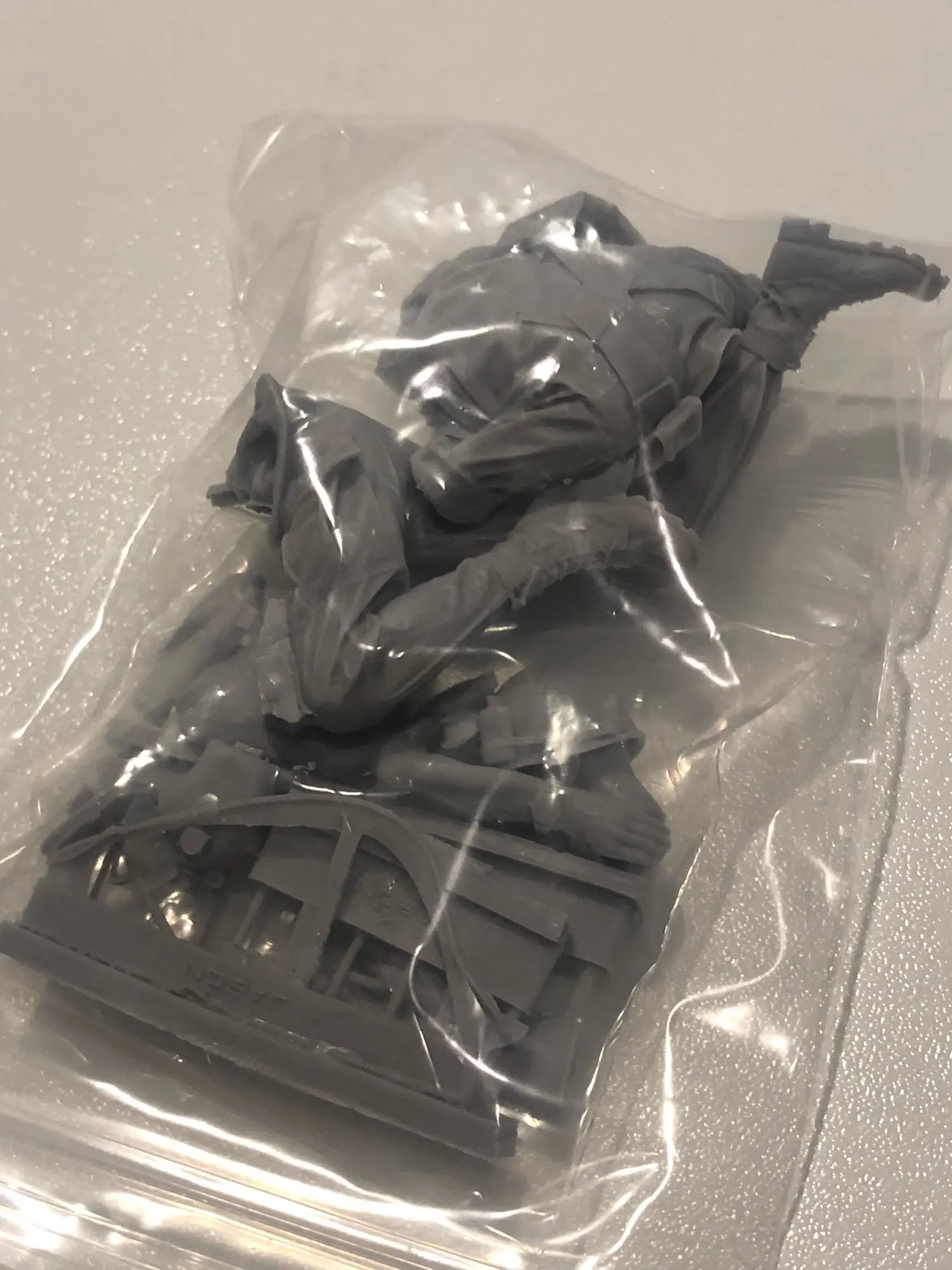 Buyer photo of this resin kit
