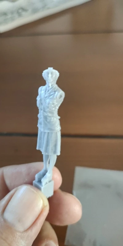 Buyer photo of this resin kit