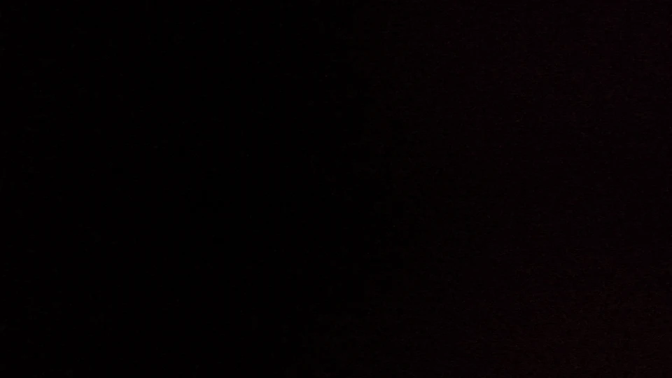 실물 포토 리뷰