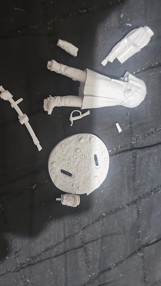 Buyer photo of this resin kit