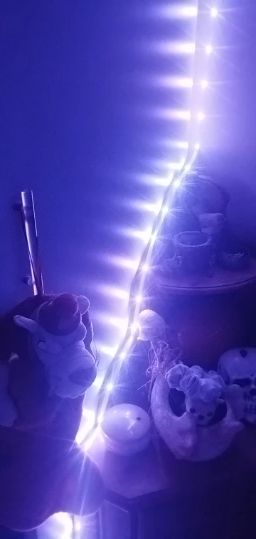 리뷰 사진