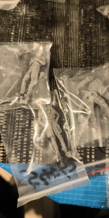 Buyer photo of this resin kit