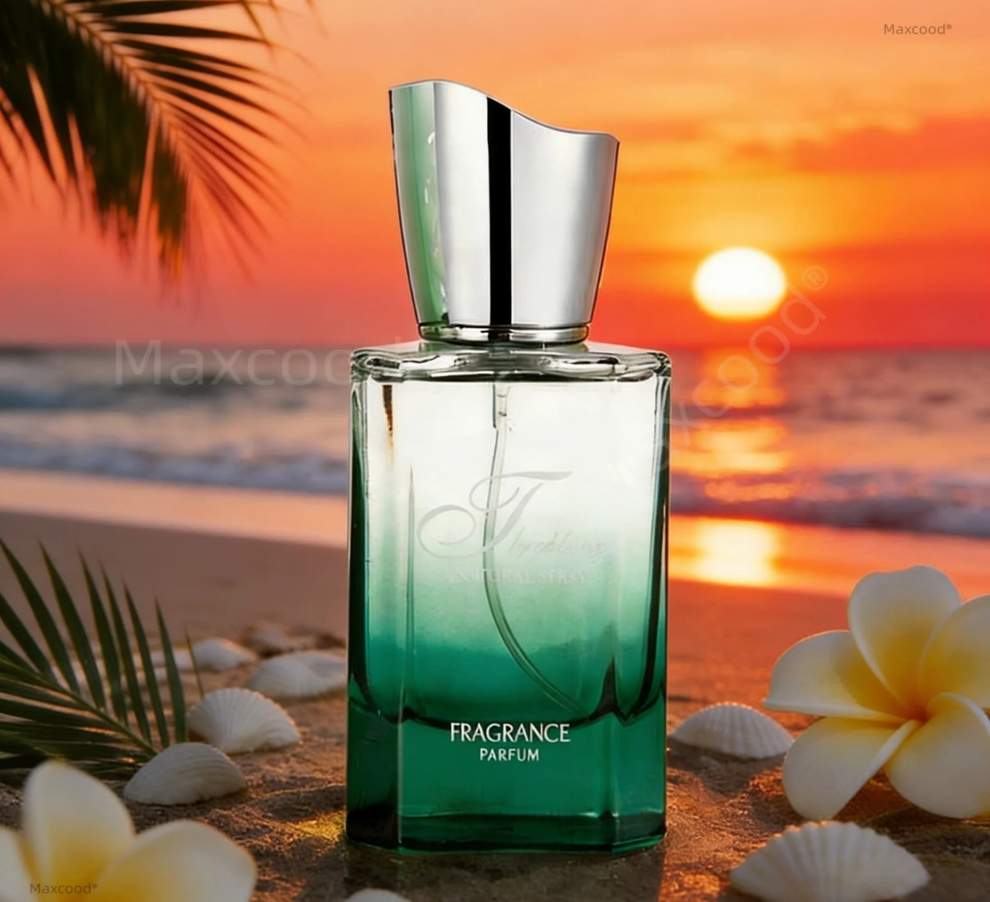 

Maxcood B Citrus Women Perfume3.4fl.oz Long lasting fragrance Increase Charm Confidence Dating High Quality Christmas Christmas Flirting Attract Glamour Eau De Unique Anniversary Perfect Gift Natural fragrance suitable for everyday use Halloween Easter