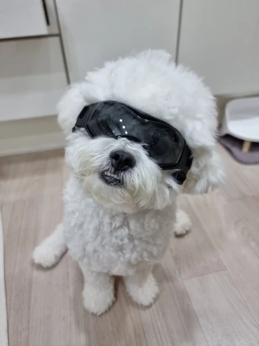 리뷰 사진