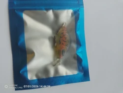 Imagen de reseña 1