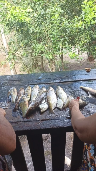 실물 포토 리뷰