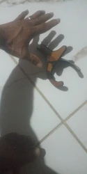 Imagen de reseña 1