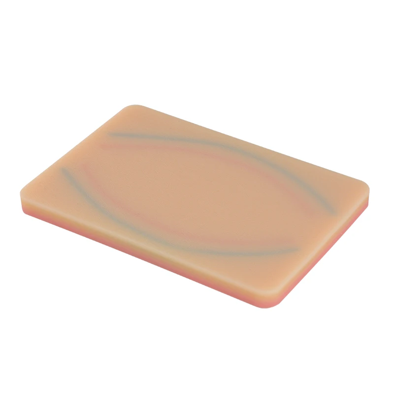 Mit 4 Adern Eingebettet und 3 Haut Schichten Venipuncture IV Injection Training Pad Modell