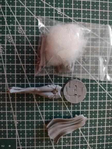 Buyer photo of this resin kit