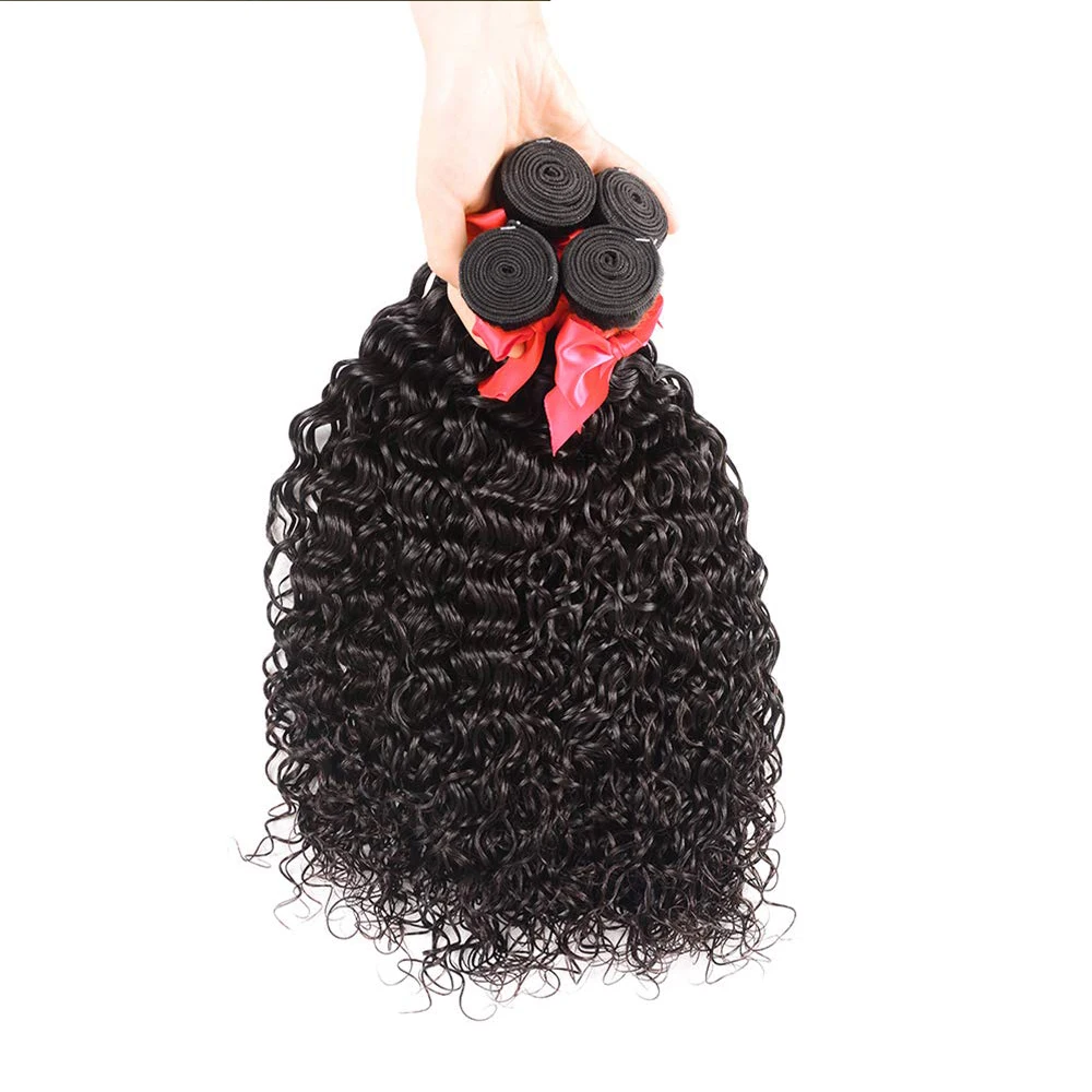 Water Wave Bundles With Closure 100% Human Hair Curly Human Hair Bundles With Frontal Closure Remy Hair Weave Extensions