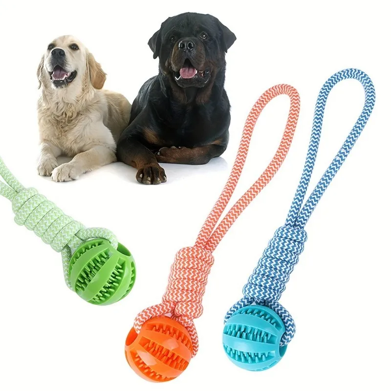 Thumbnail 3 - #66 Compare Dog Toys Before You Buy