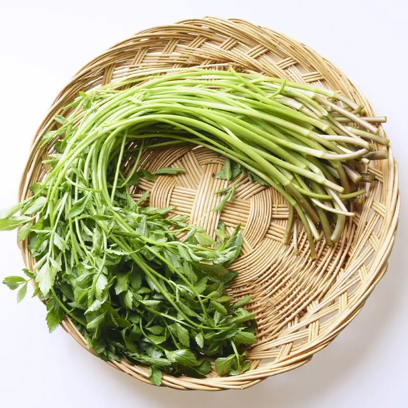 غسيل نظيف للاستخدام المنزلي ، 1.