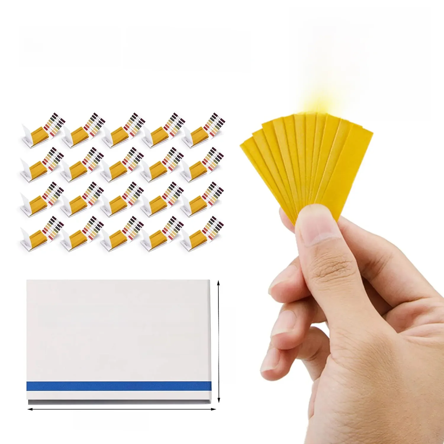 Bandelettes de test de pH universelles, gamme complète, papier de test, Litmus, pH Regina, test exécutif pour l'eau, le vin, la salive, l'urine, le sol, 1600 bandelettes, 1-14