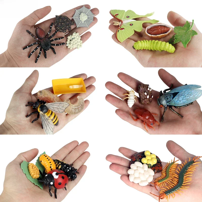 AliExpress Oenux Simulation Luna Moth Salmon Butterfly Ants Life Growth Cycle Animals Model Action Figures