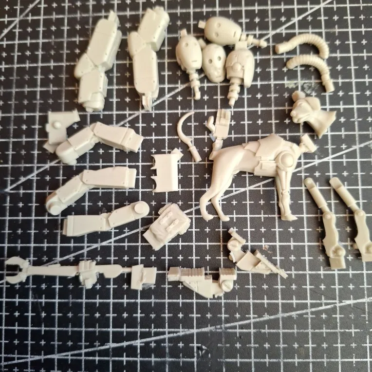 Buyer photo of this resin kit