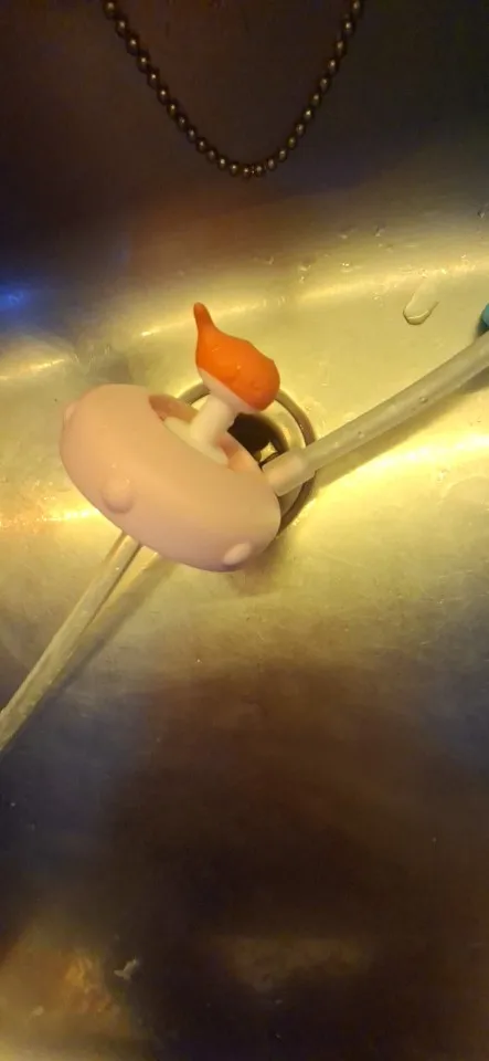 실물 포토 리뷰