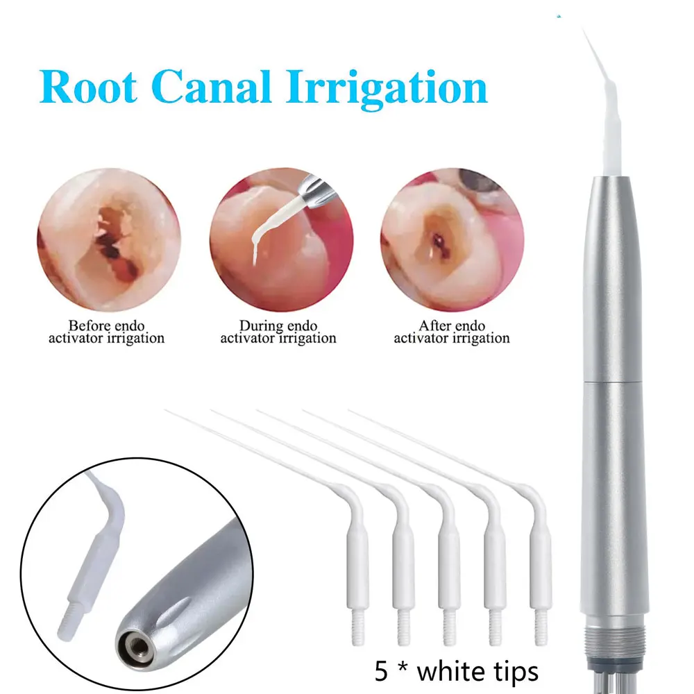 Exp Dental Air Scaler Handpiece Activation Irrigation Perio Scaling With 5 tips Tooth Cleaner 2/4 Holes