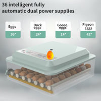 36 Eggs Farm Poultry Fully Automatic Turning Egg Incubator Dual-Electric Household Brooder for Chicken Goose Duck Birds