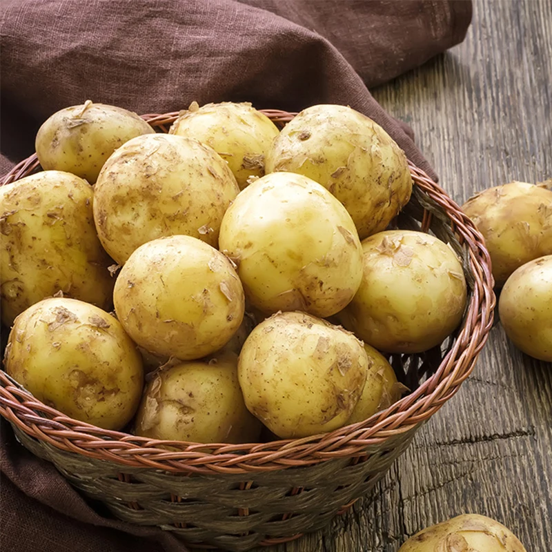 신선한 제철 국산 햇감자 수미감자 흙감자 소중대특