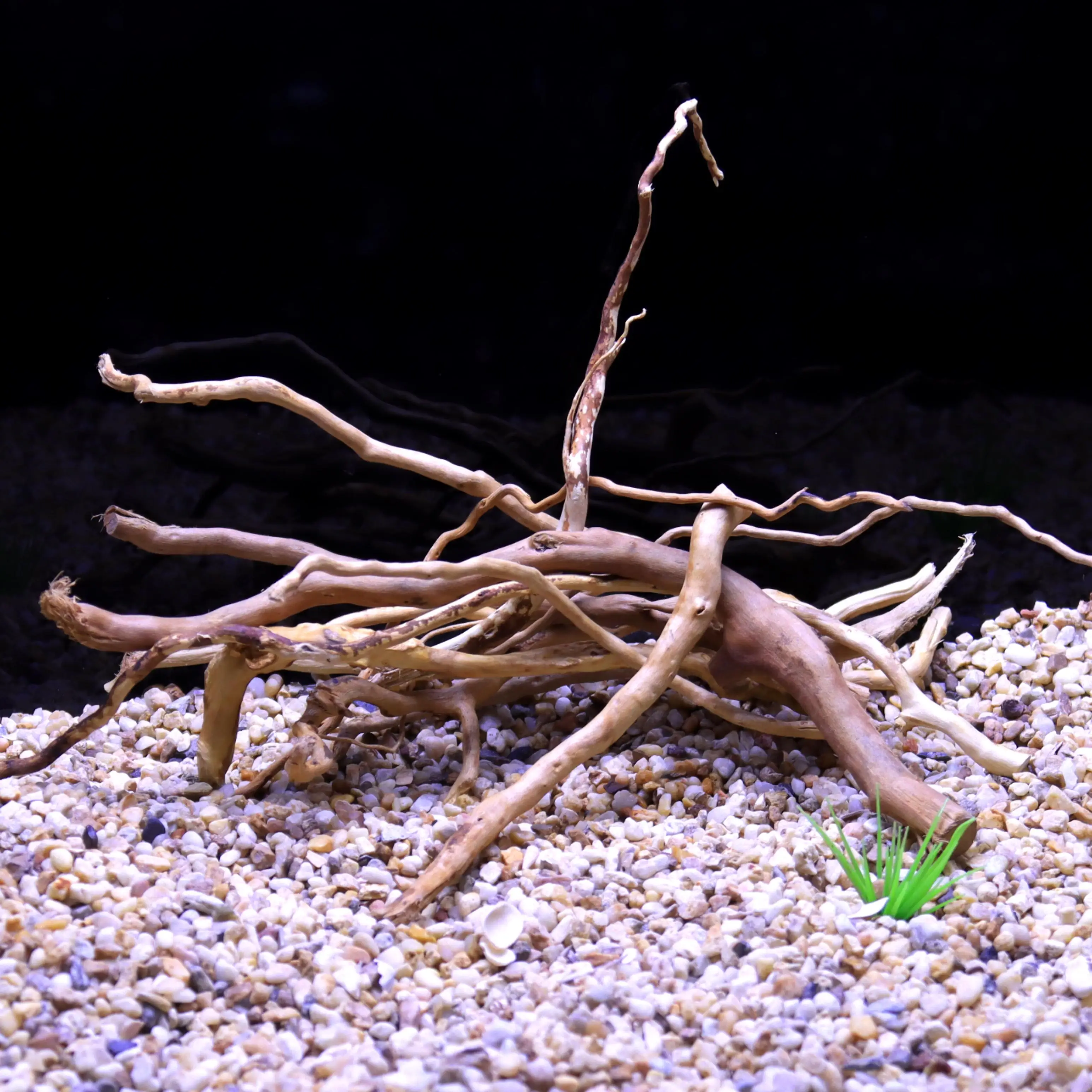 100g 天然流木根のミックス、水槽の装飾に最適、魚タンク、 - Aquarium Plant Liquid Fertilizer のレビューと価格