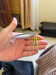 Imagen de reseña 1