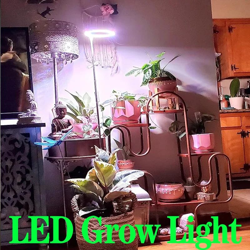 

Indoor Plant Grow Light USB Phyto Grow Lamp Phytolamp LED Full Spectrum Plant Lamp Flower Seedling Hydroponic Lighting