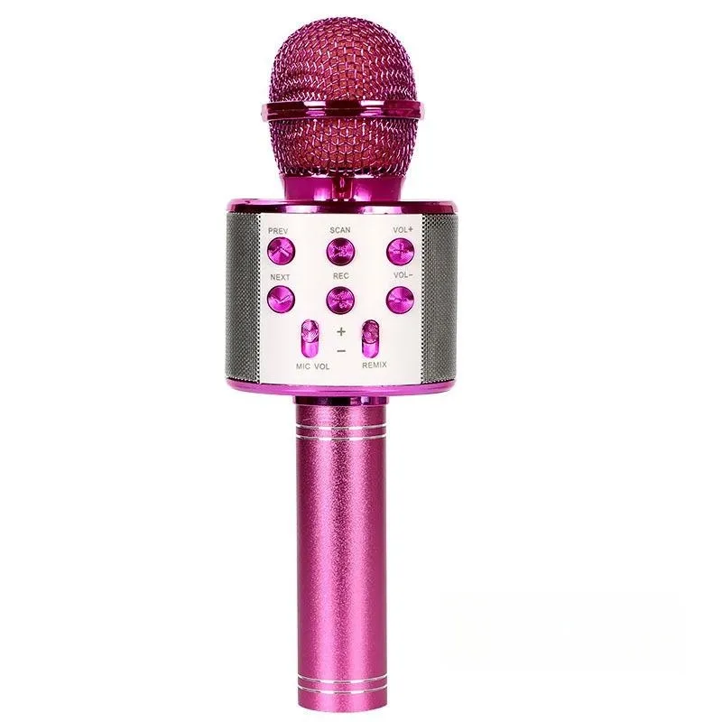 Draadloze Bluetooth Karaoke Microfoon, Karaoke Mic Speaker Met Verstelbare Remix Fm Radio Voor Kinderen Meisjes Jongens Tieners Verjaardag