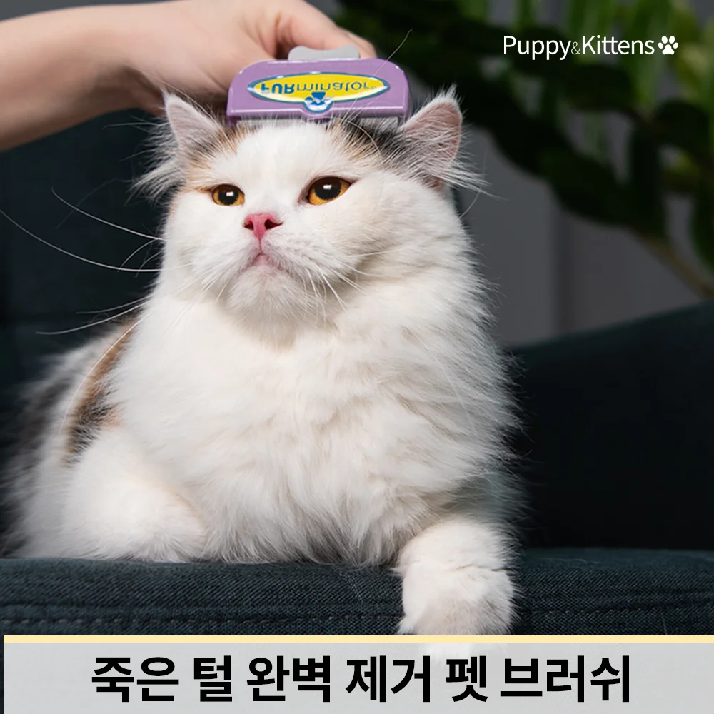 [Domestic Free Shipping] Perminator Cat Puppet Brush Brush Pet Pet Pet