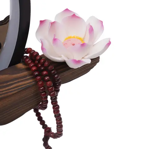 एलईडी लाइट और पाइंस के साथ बैकफ्लो अगरबत्ती होल्डर, सिरेमिक लेडी चाइनीज स्टाइल बैकफ्लो अगरबत्ती बर्नर आराम के लिए बिल्कुल सही 8 best sales बैक फ्लो धूप बर्नर - №5