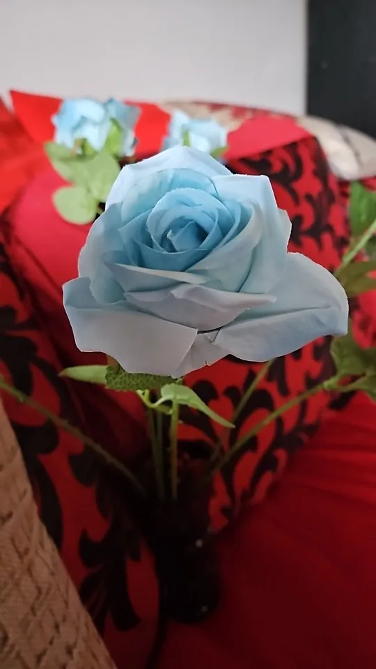 구매후기