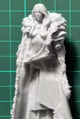 Buyer photo of this resin kit