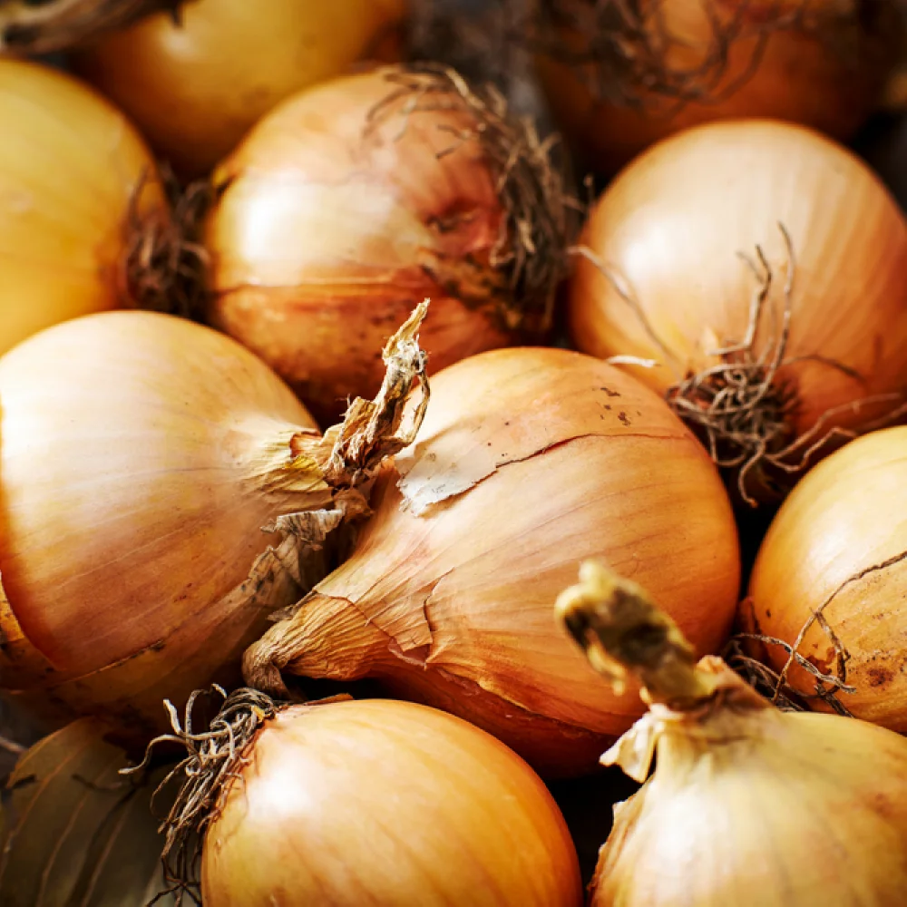 Muan Cebolla Cebolla Blanca Cebolla Morada 2kg 3kg 5kg 10kg